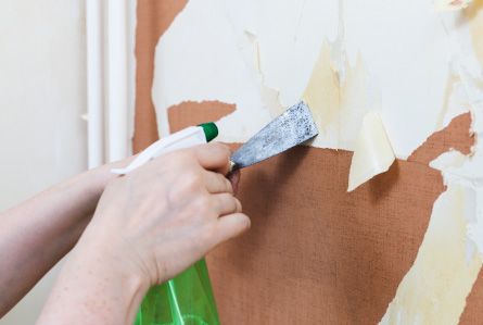Wallpaper Removal